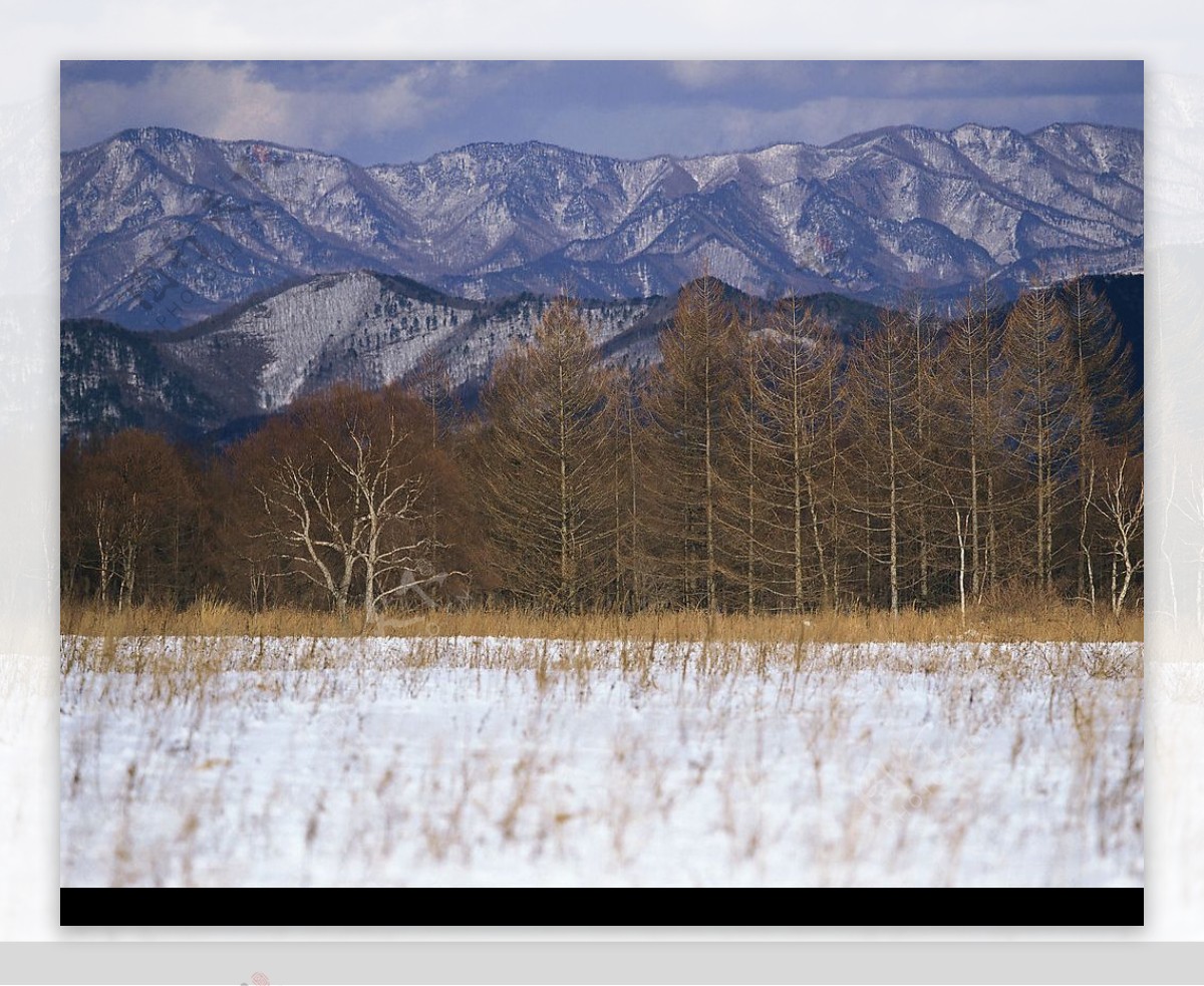 精品底纹素材冬天雪景图片