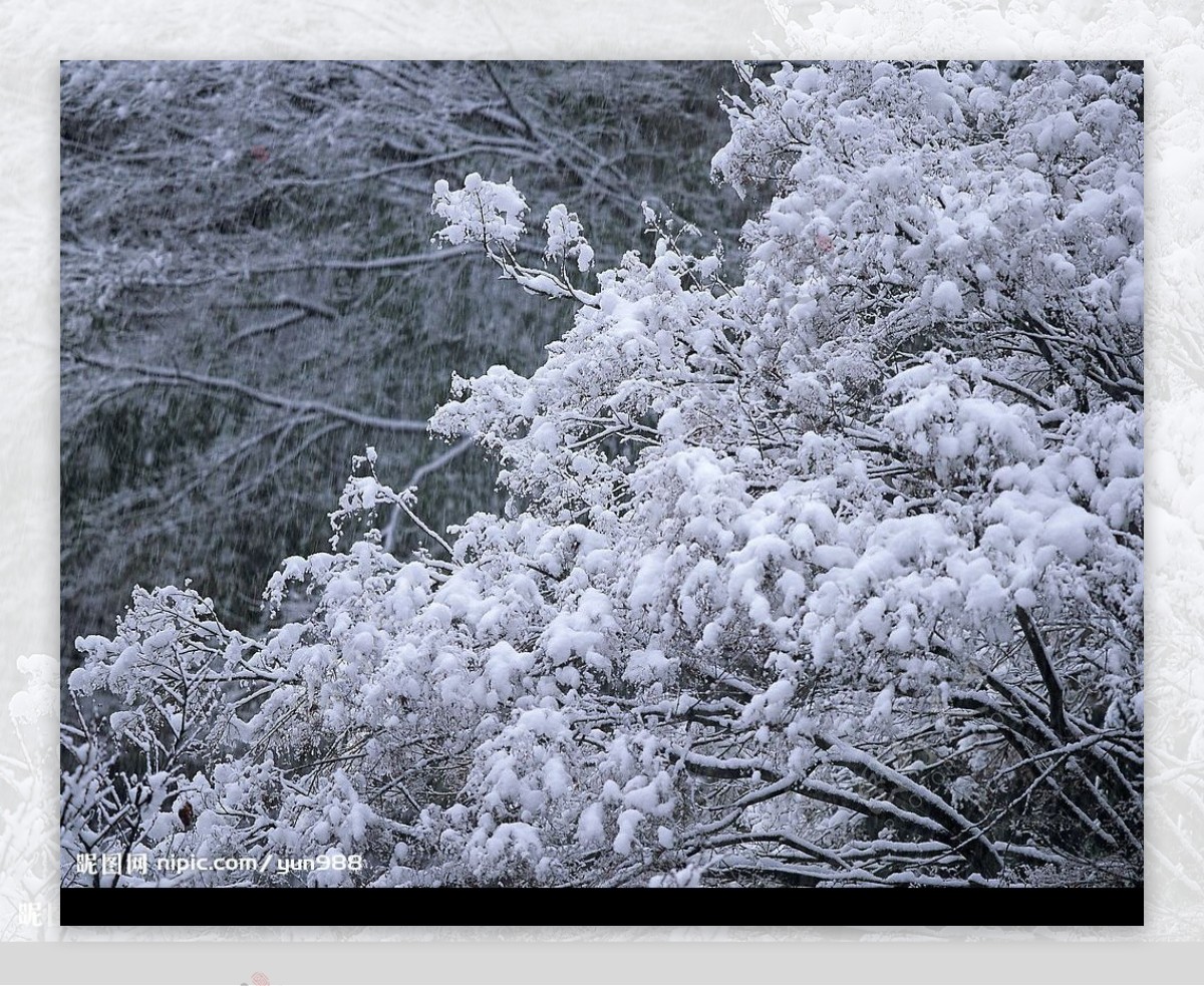 精品底纹素材冬天雪景图片