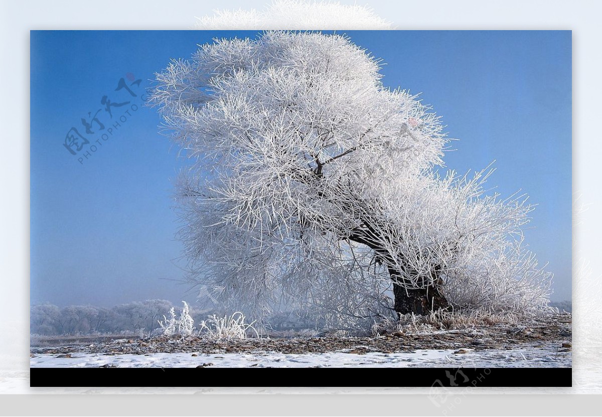 精品底纹素材冬天雪景图片