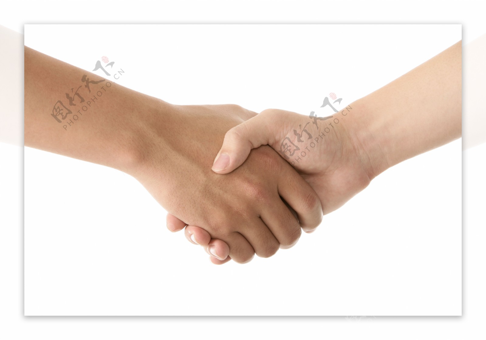 握手商业合作图片