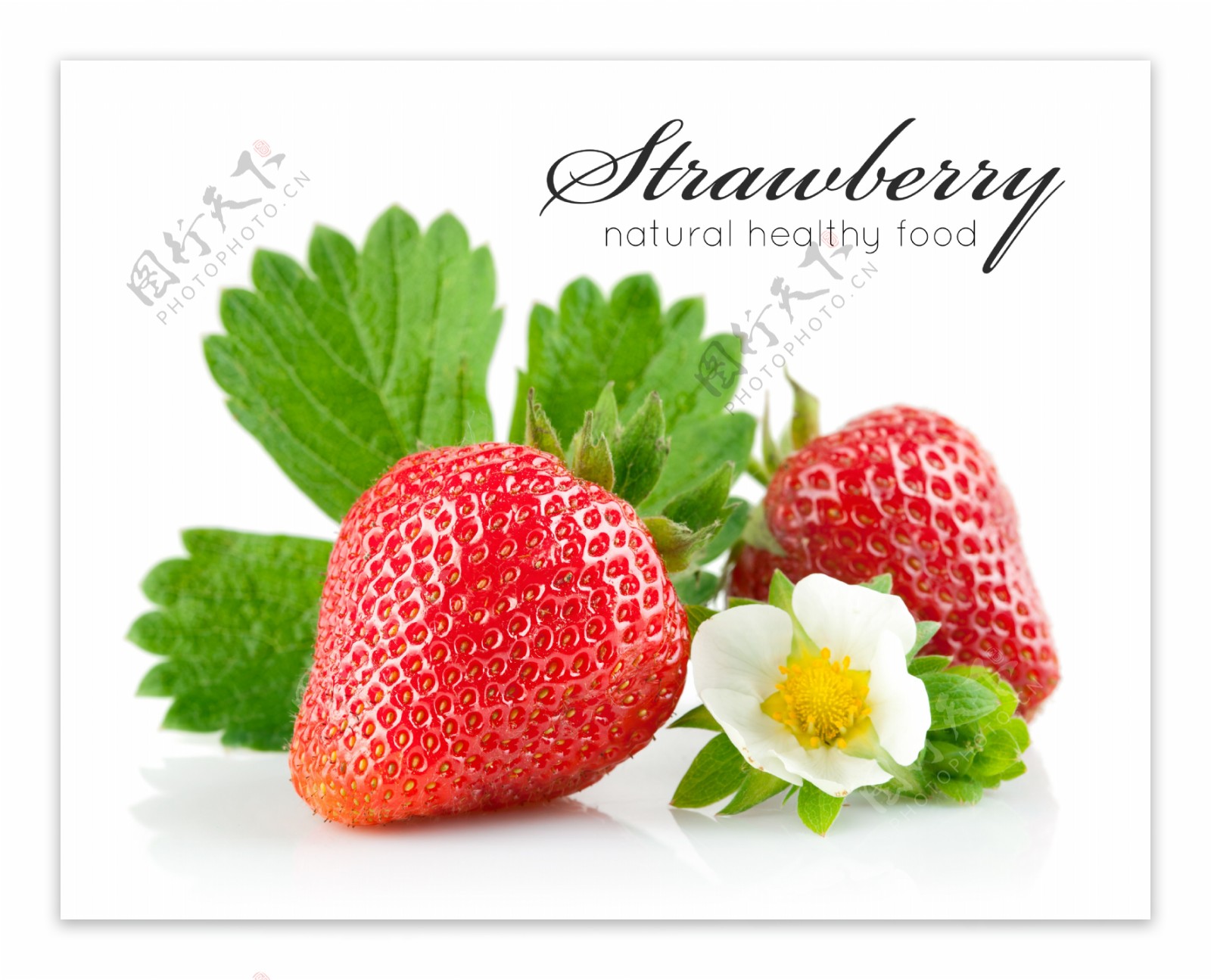 草莓图片素材-编号13804705-图行天下
