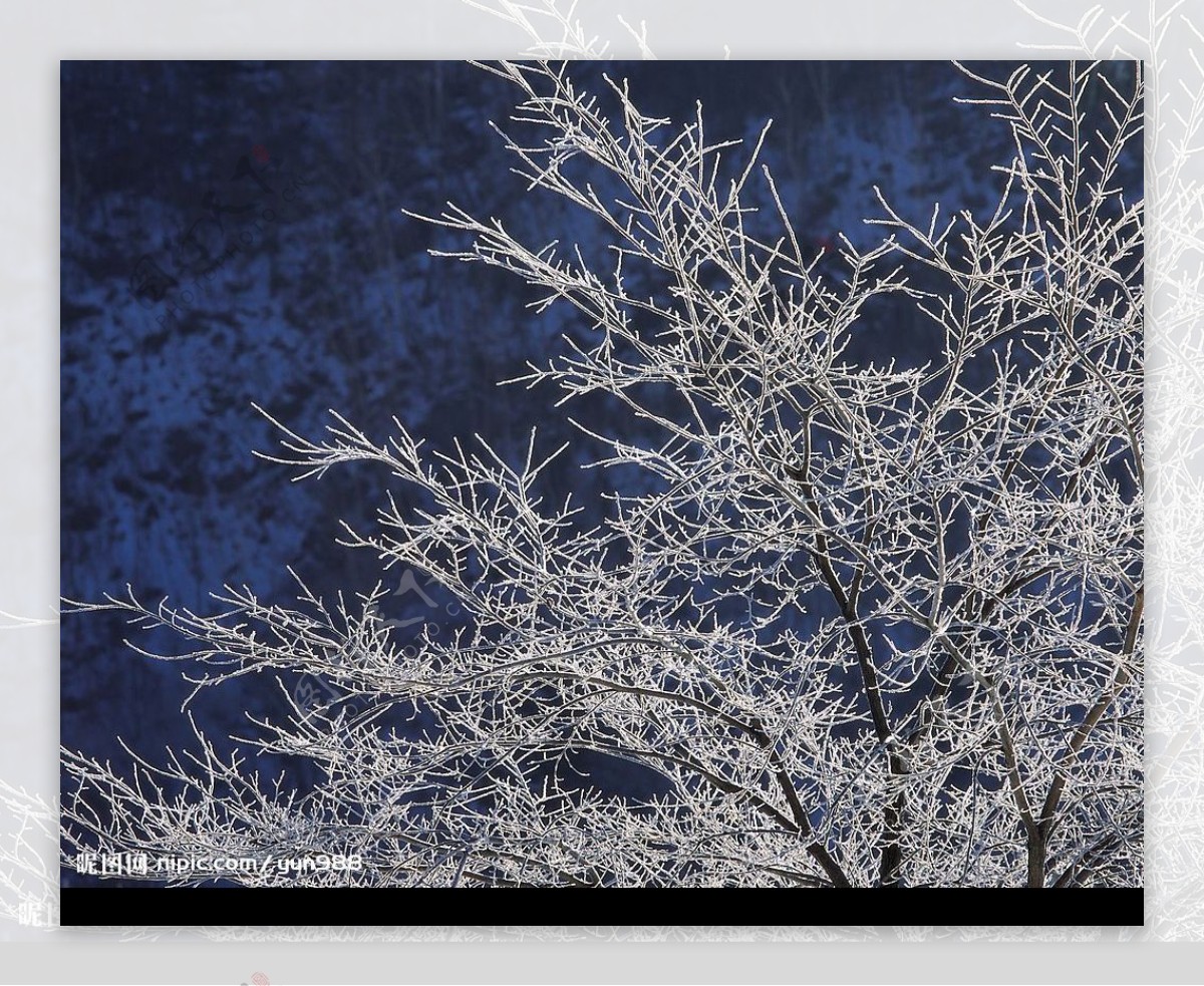 精品底纹素材冬天雪景图片