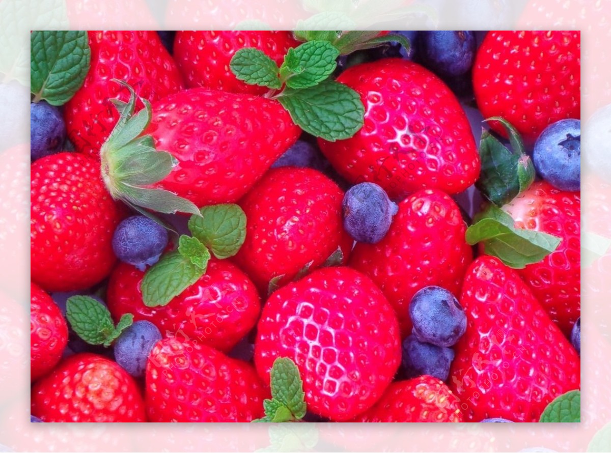 草莓蓝莓图片