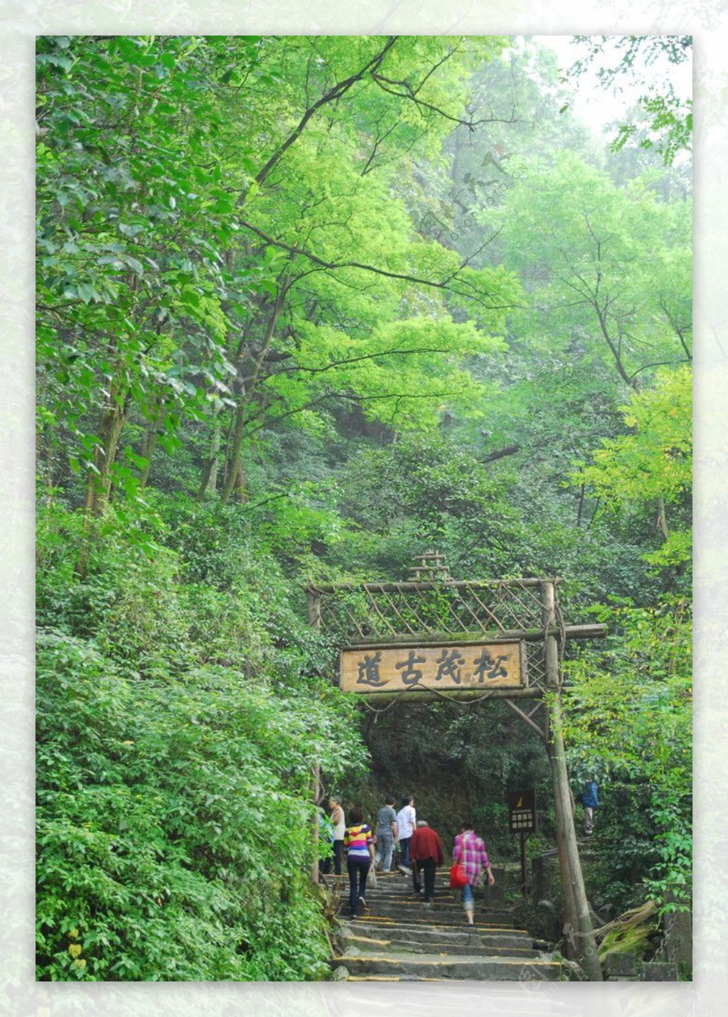 青城山-都江堰景区免费开放日，你约到了吗？