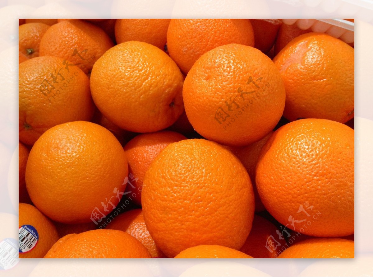 橙鲜橙脐橙图片