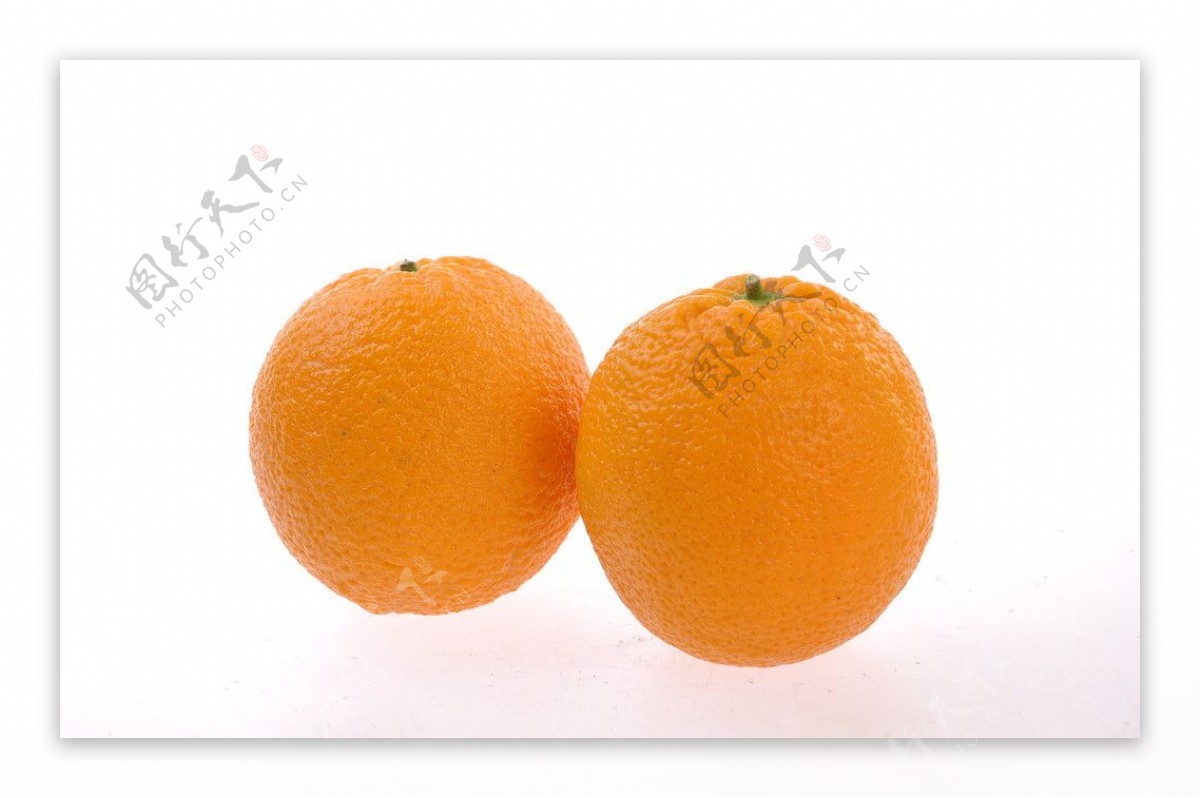 夏橙图片