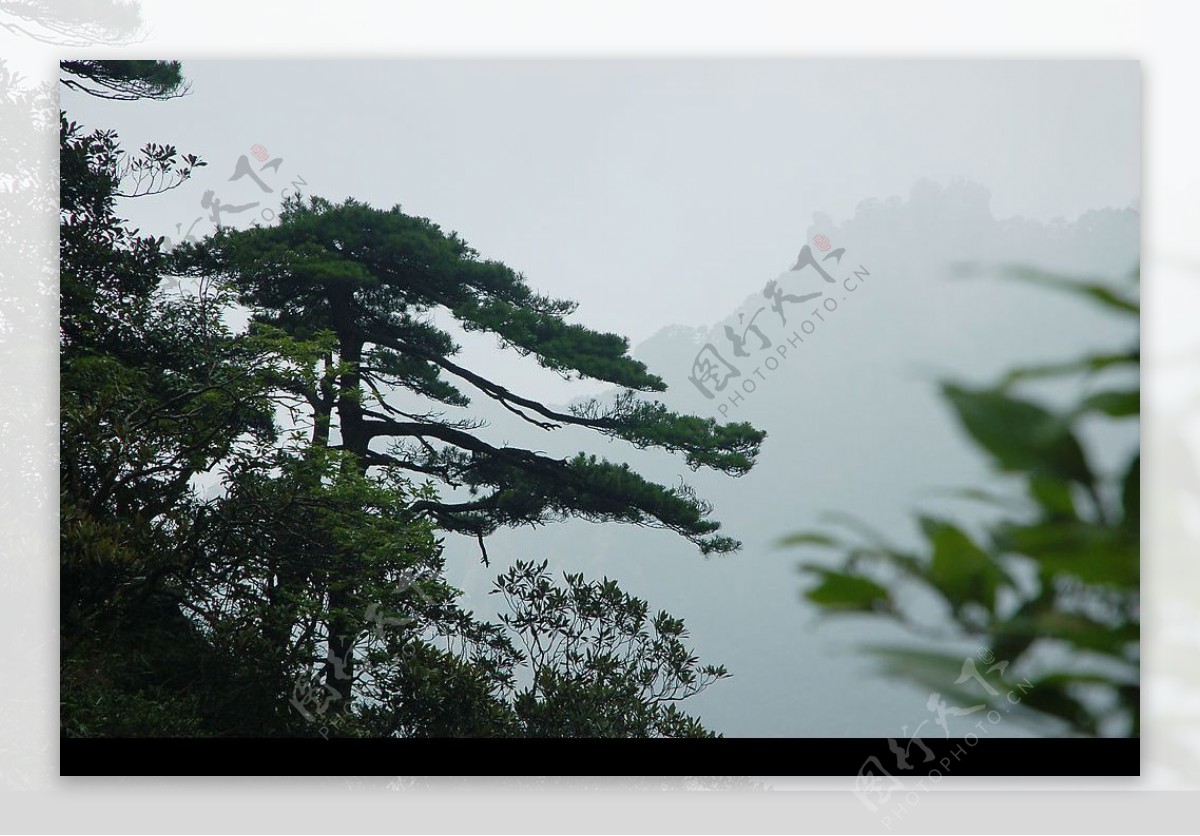 江西三青山风光图片