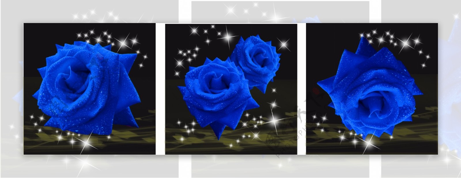 三联无框画蓝色玫瑰图片
