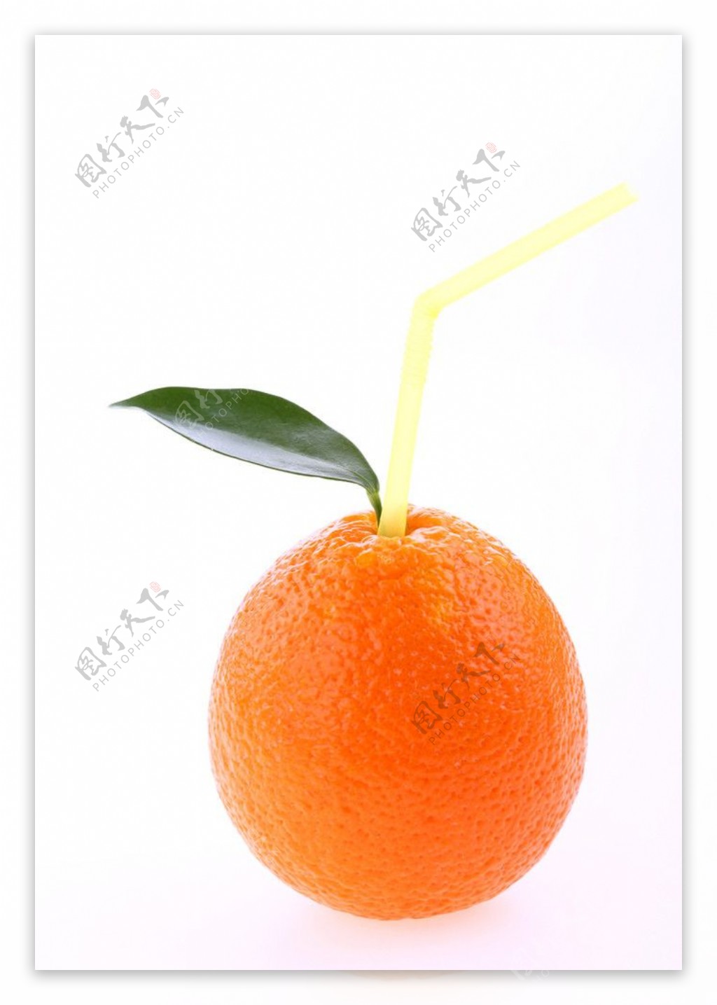你是怎样的小橙子 | 水果摄影|摄影|其他摄影|晓安摄影 - 原创作品 - 站酷 (ZCOOL)