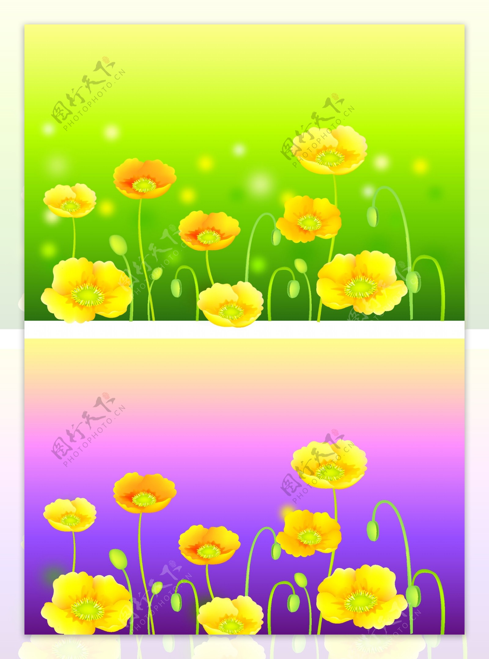 08最新韩国精美花卉背景矢量素材7P图片