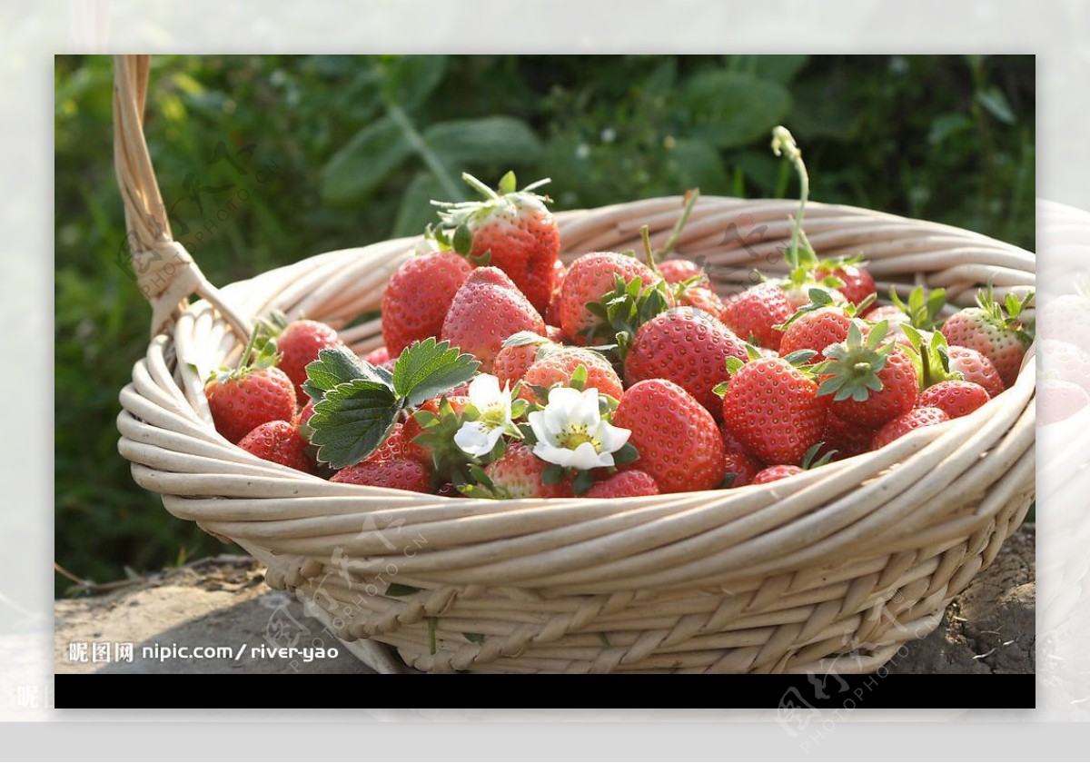 高清晰草莓摄影图图片