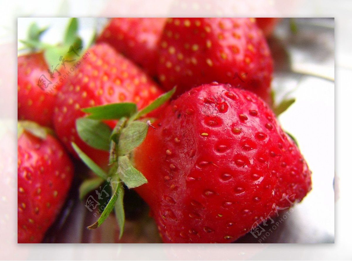 让人垂涎欲滴的鲜嫩草莓图片