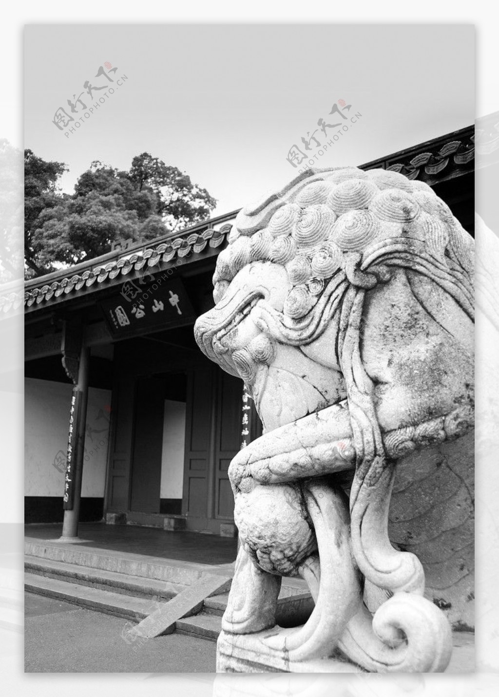 浙江杭州西湖中山公园门口的石狮图片