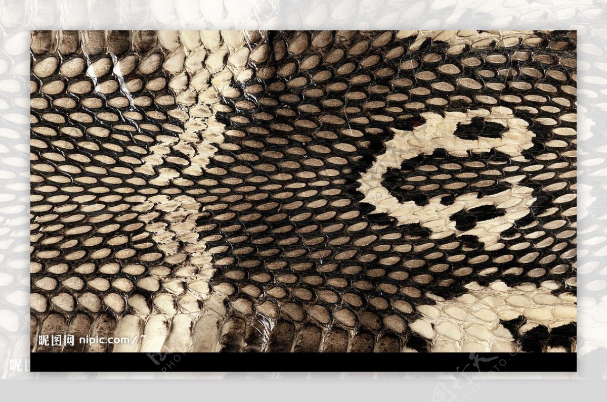 皮草非洲蟒蛇皮纹理图片