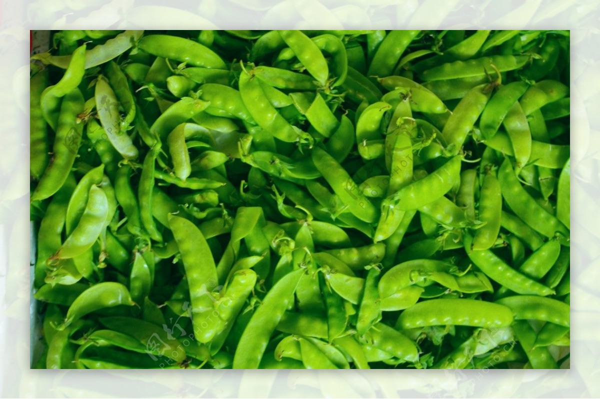 蔬菜豌豆荷兰豆图片
