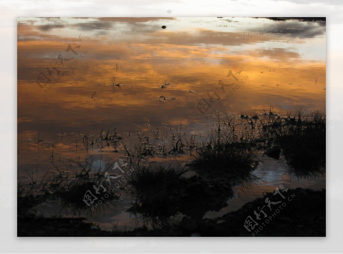 沱沱河之晨图片
