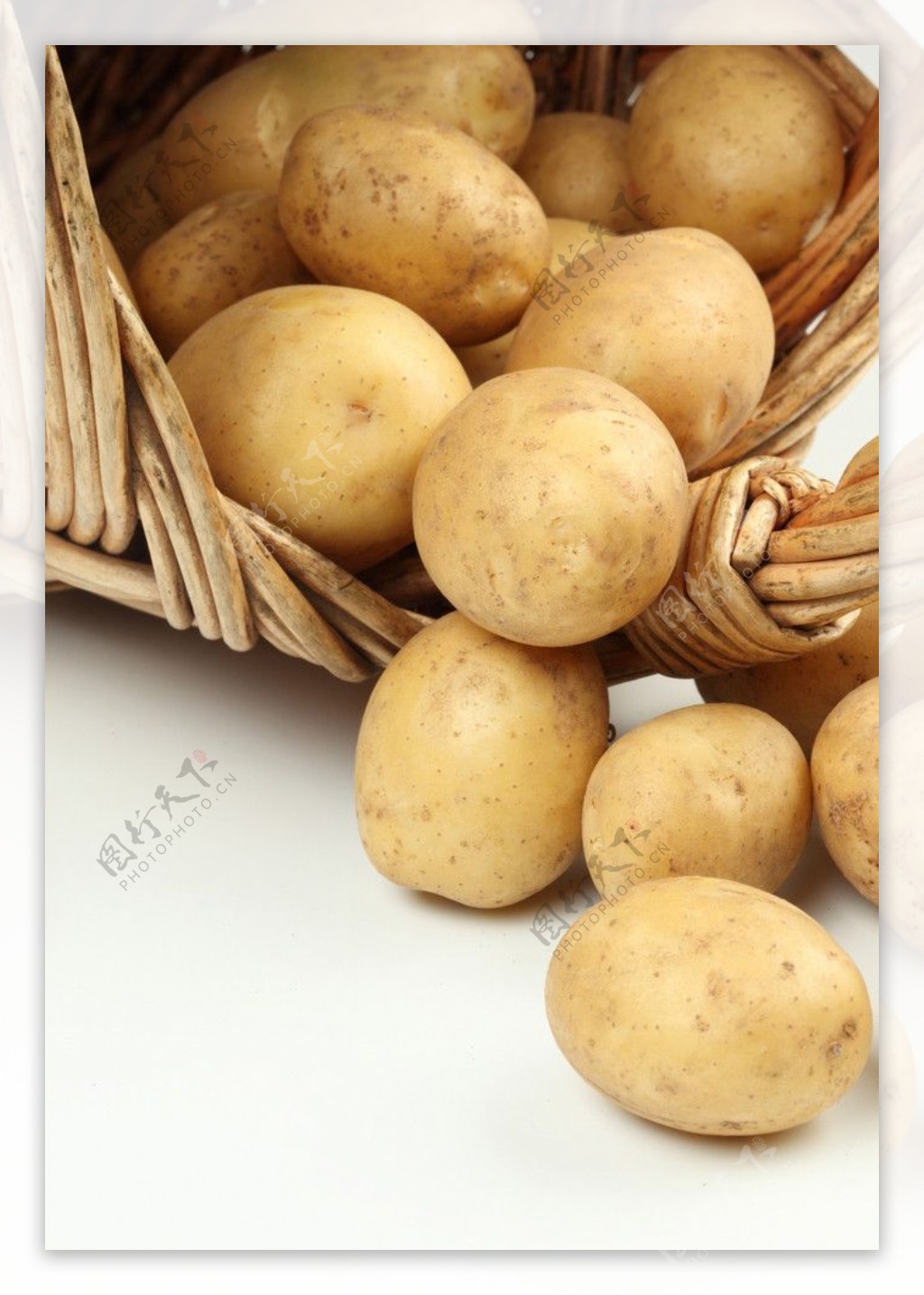 马铃薯摄影图__蔬菜_生物世界_摄影图库_昵图网nipic.com