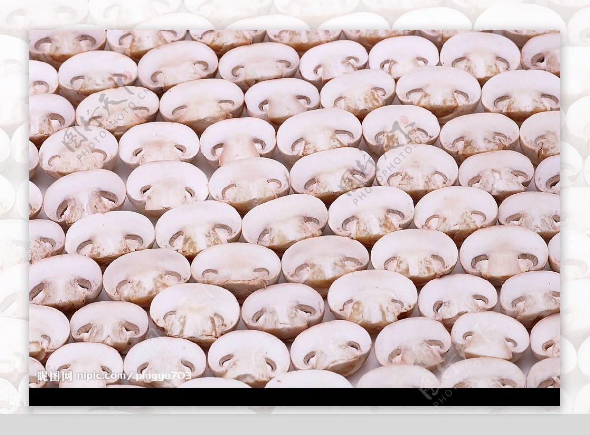 口蘑排列图片