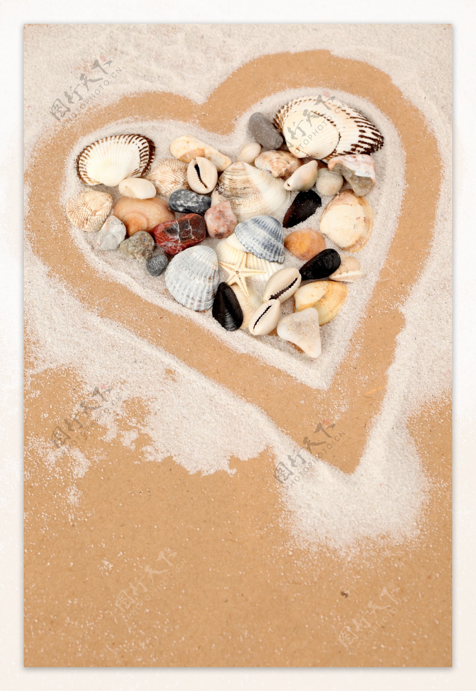 沙滩爱心贝壳图片