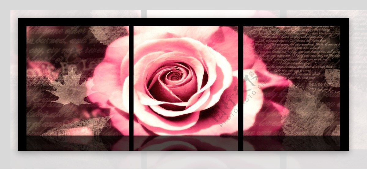 魅惑玫瑰无框画图片