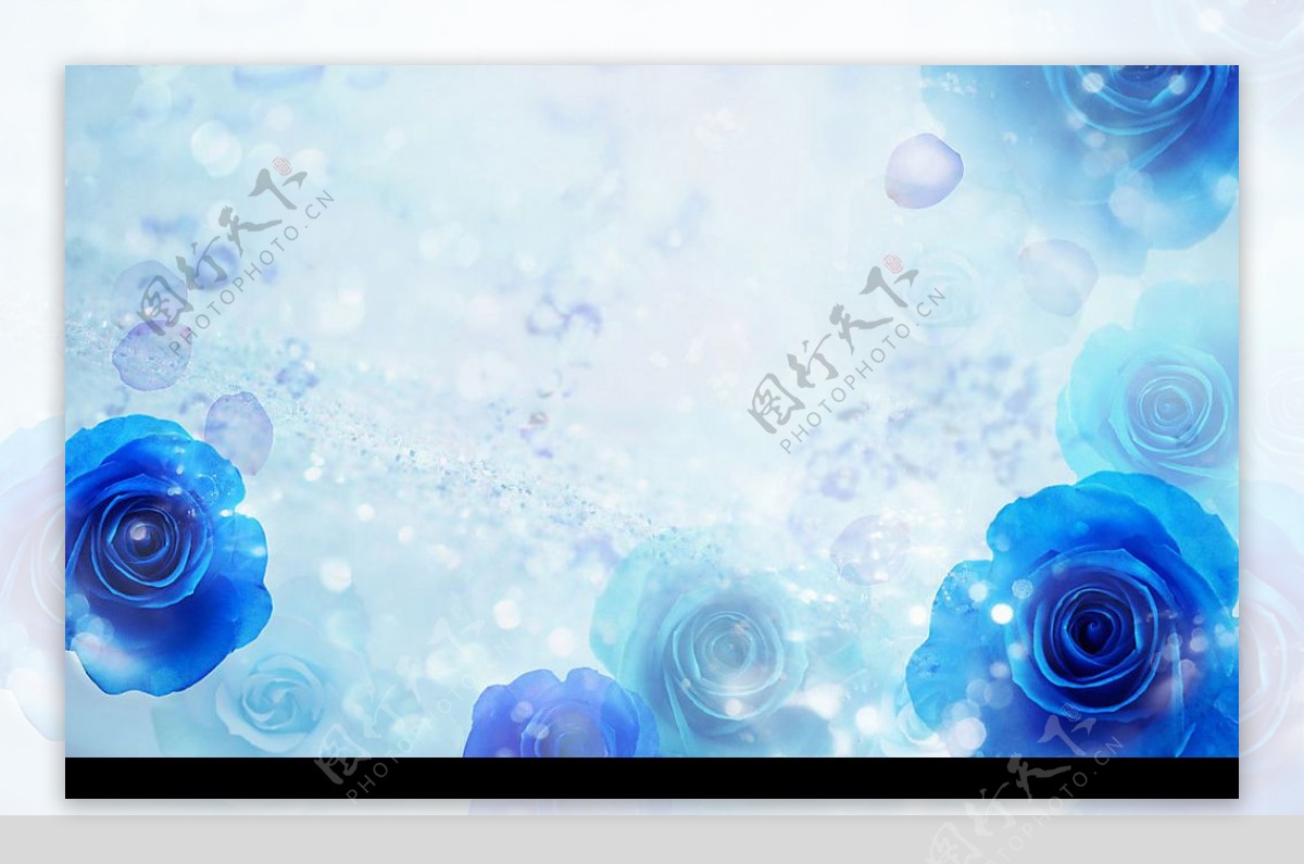 梦幻CG背景花卉图片