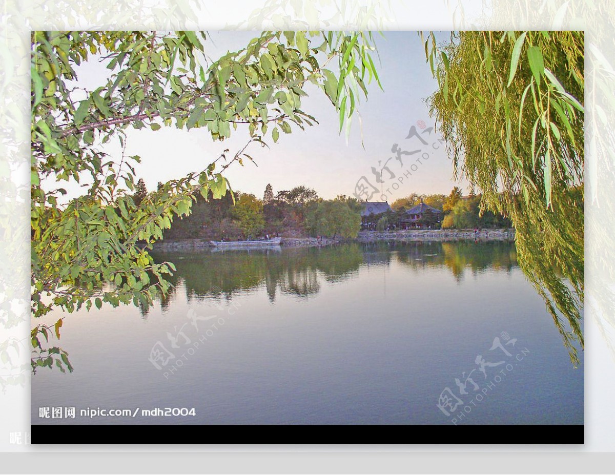 湖中清影图片