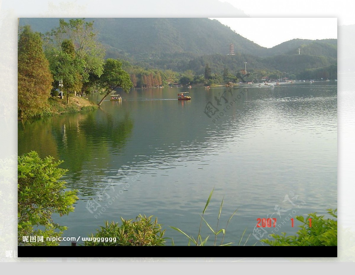 深圳仙湖图片