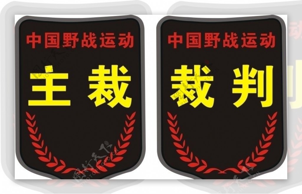 中国野战运动臂章图片