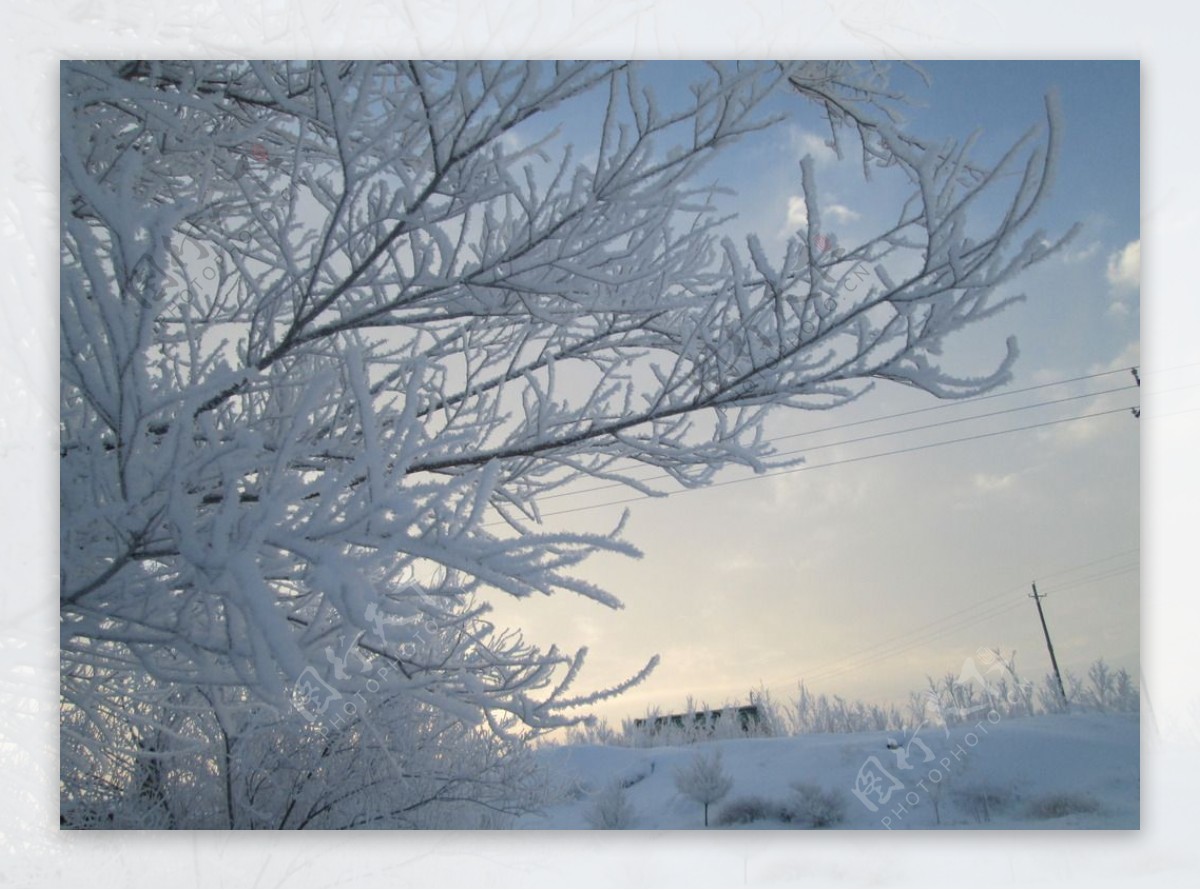 雪景摄影图片