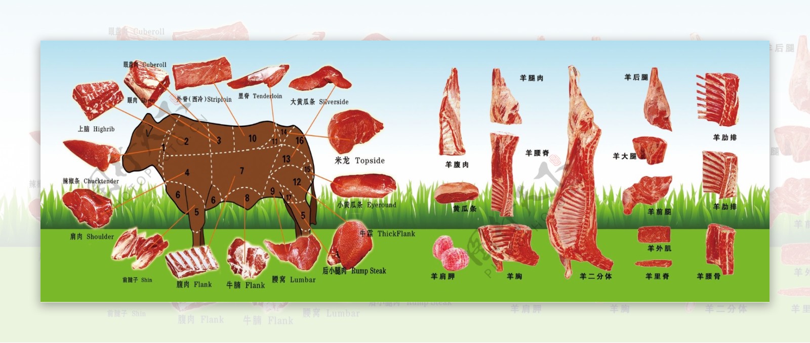 牛羊肉细节图图片