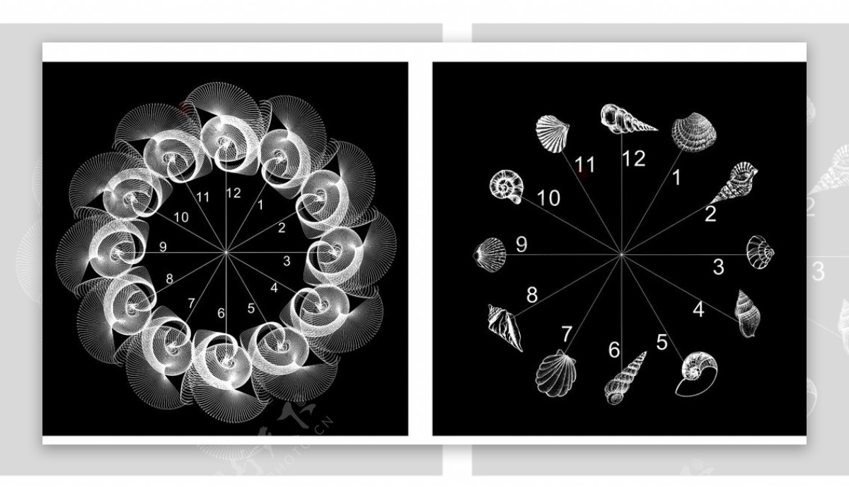 线条海螺钟表图片