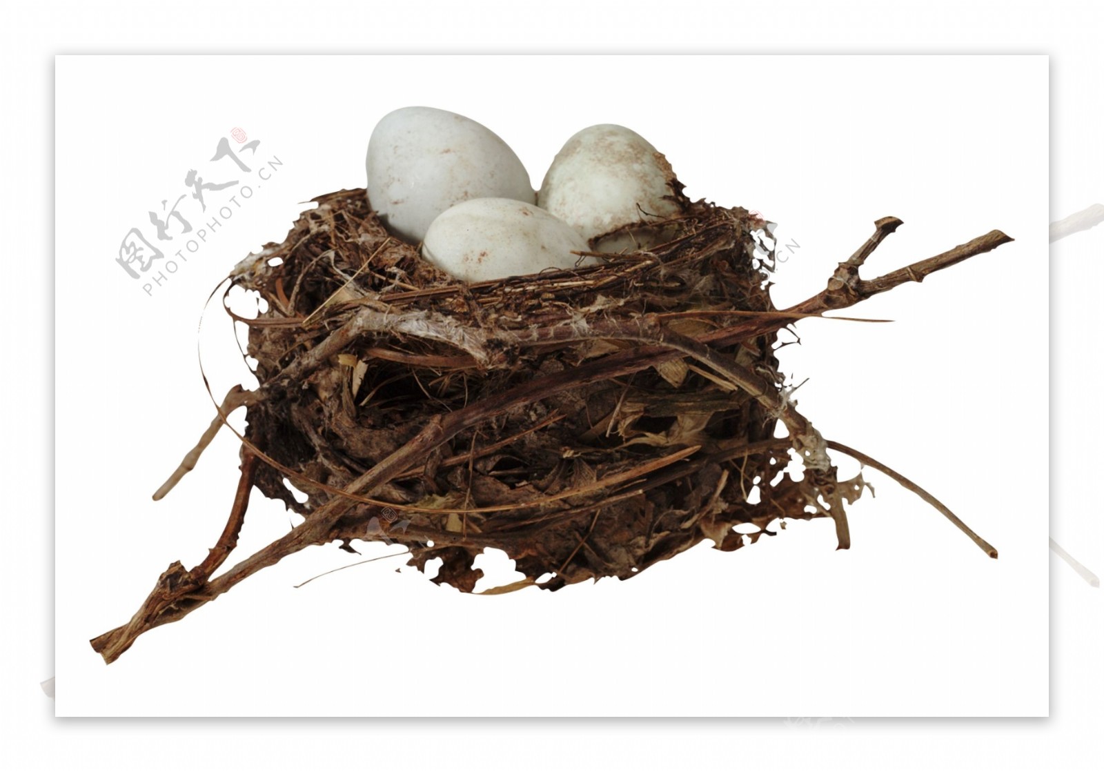 Bird'S Nest Hay - Free photo on Pixabay - Pixabay