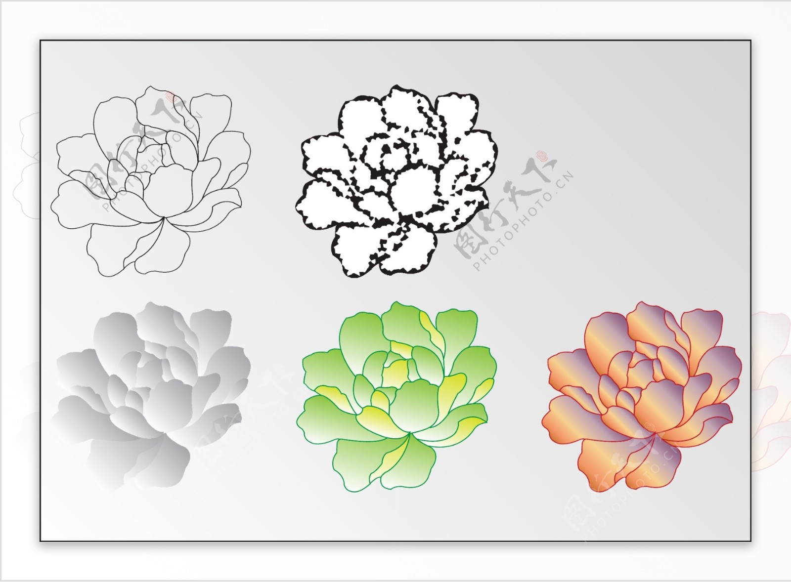 牡丹花纹样传统花朵纹图片