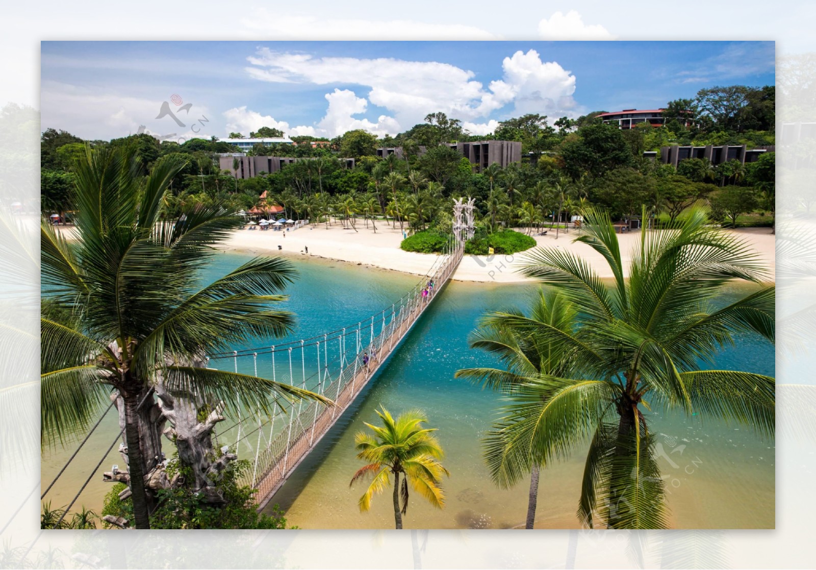 新加坡圣淘沙岛海洋乐园图片