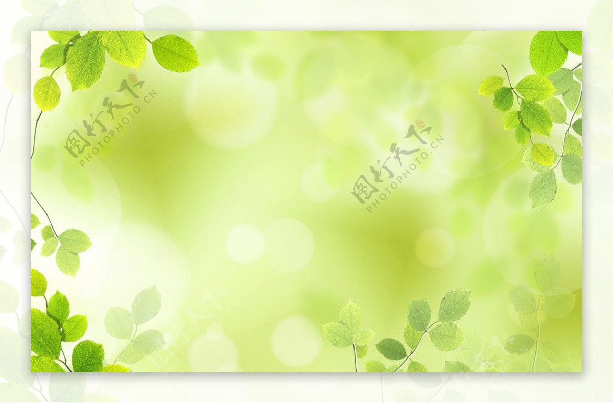 绿色背景树叶图片