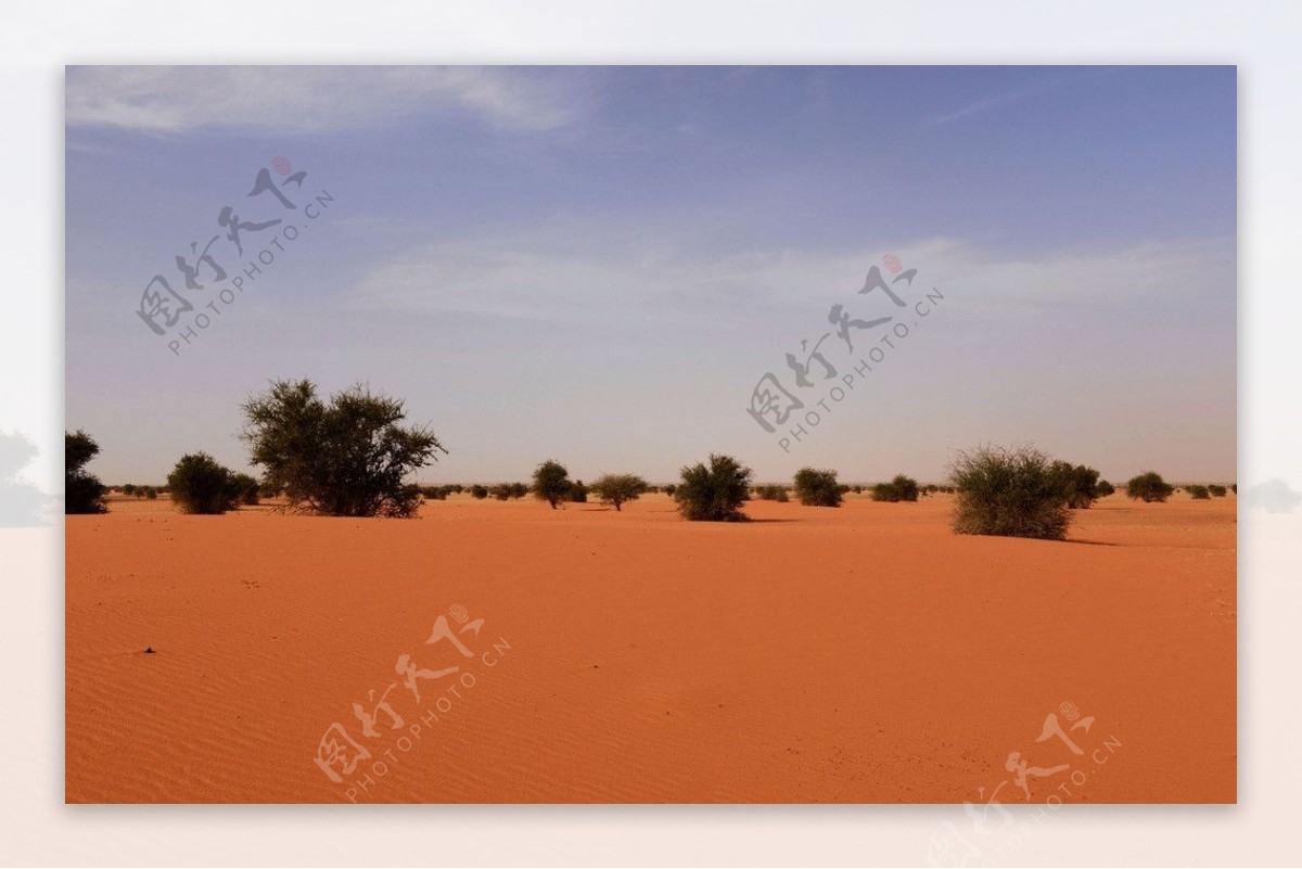 苏丹北喀土地沙化图片