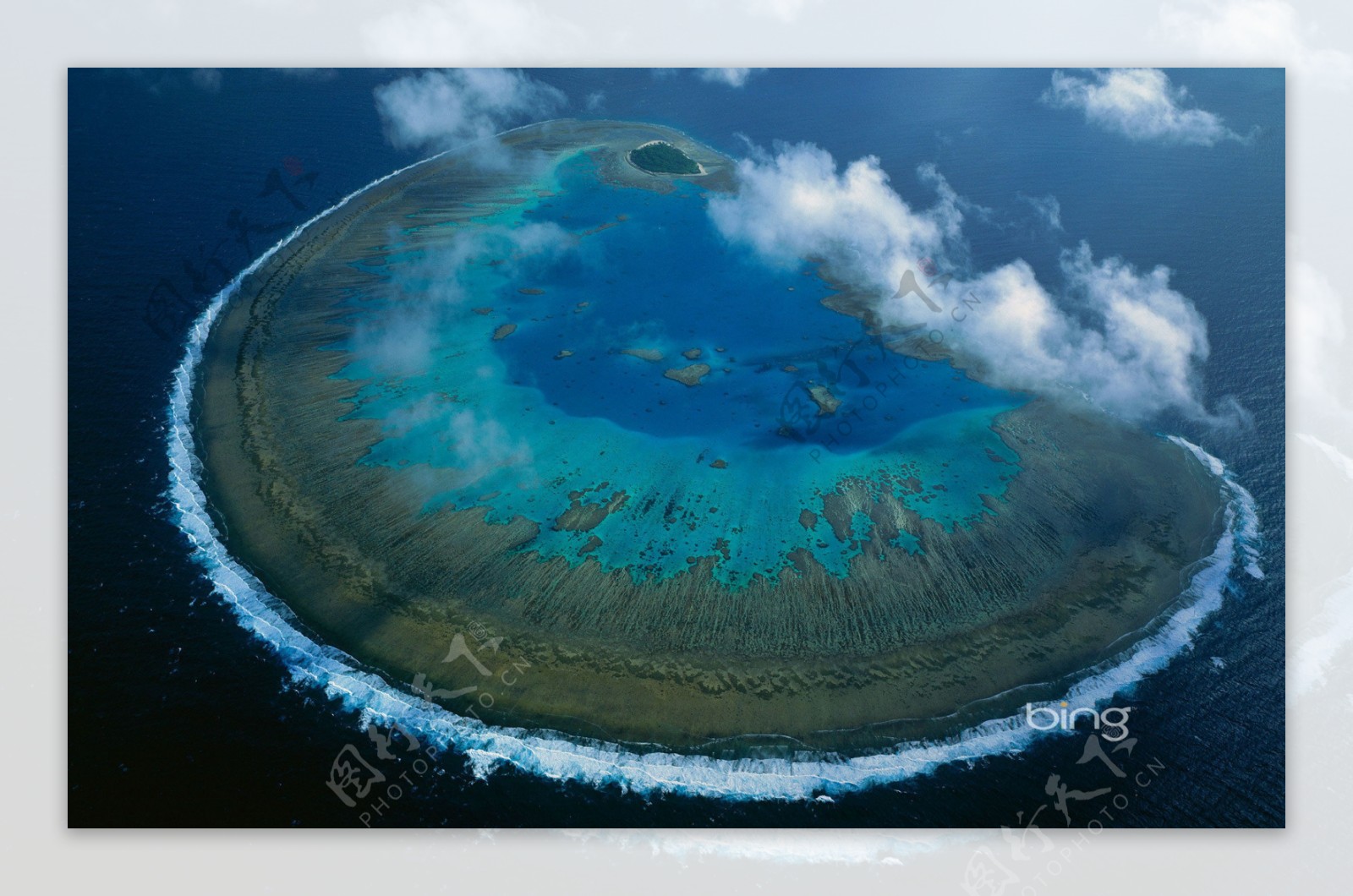 珊瑚岛图片