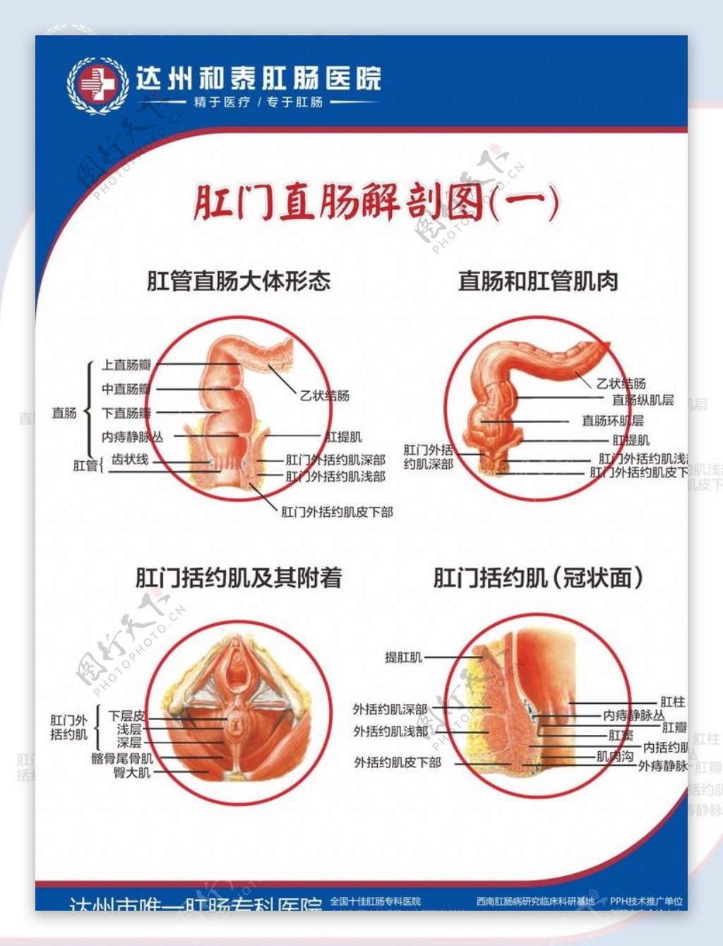 科室挂图图片