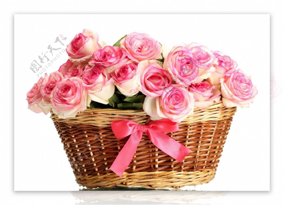 粉玫瑰花束图片素材-编号37739330-图行天下