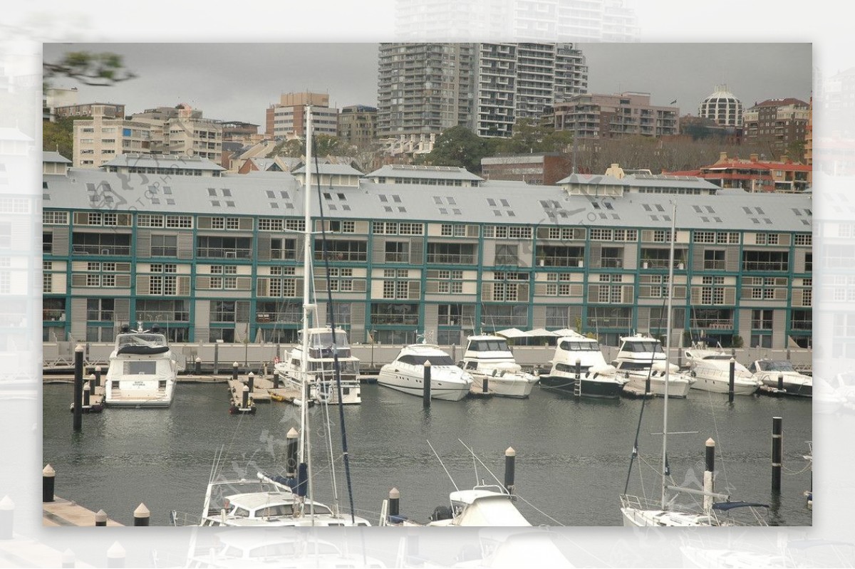 悉尼游艇图片
