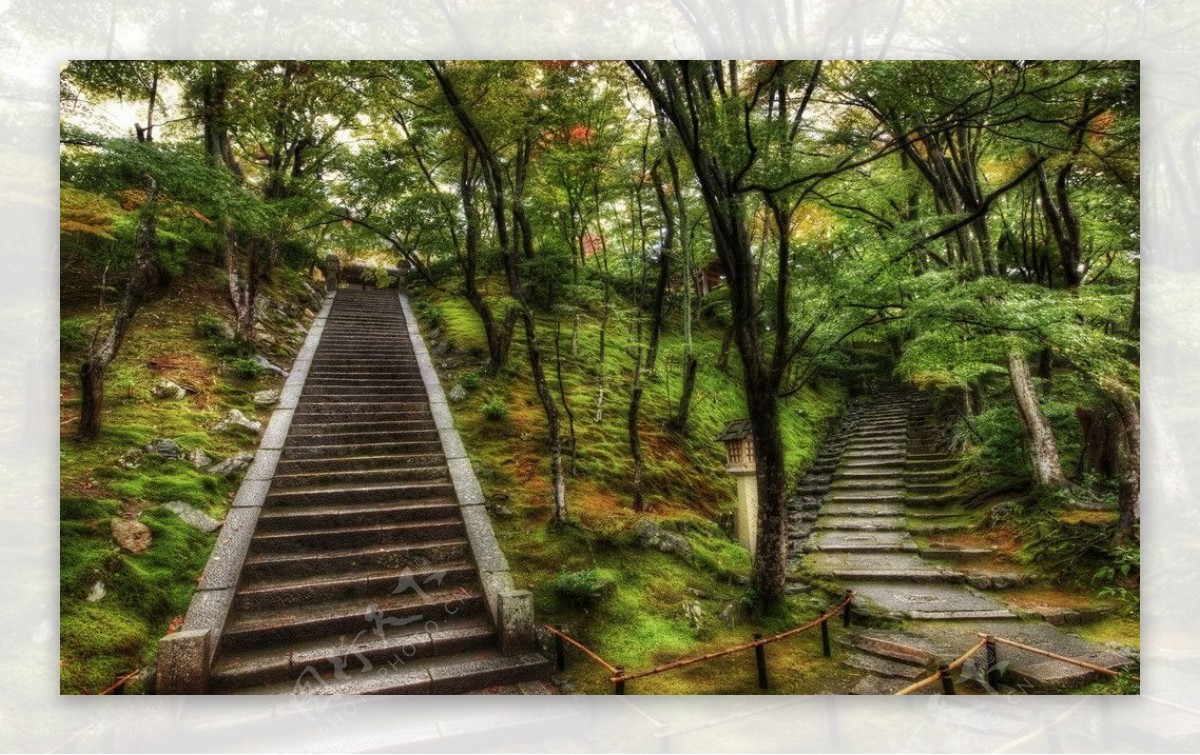 日本森林公园图片