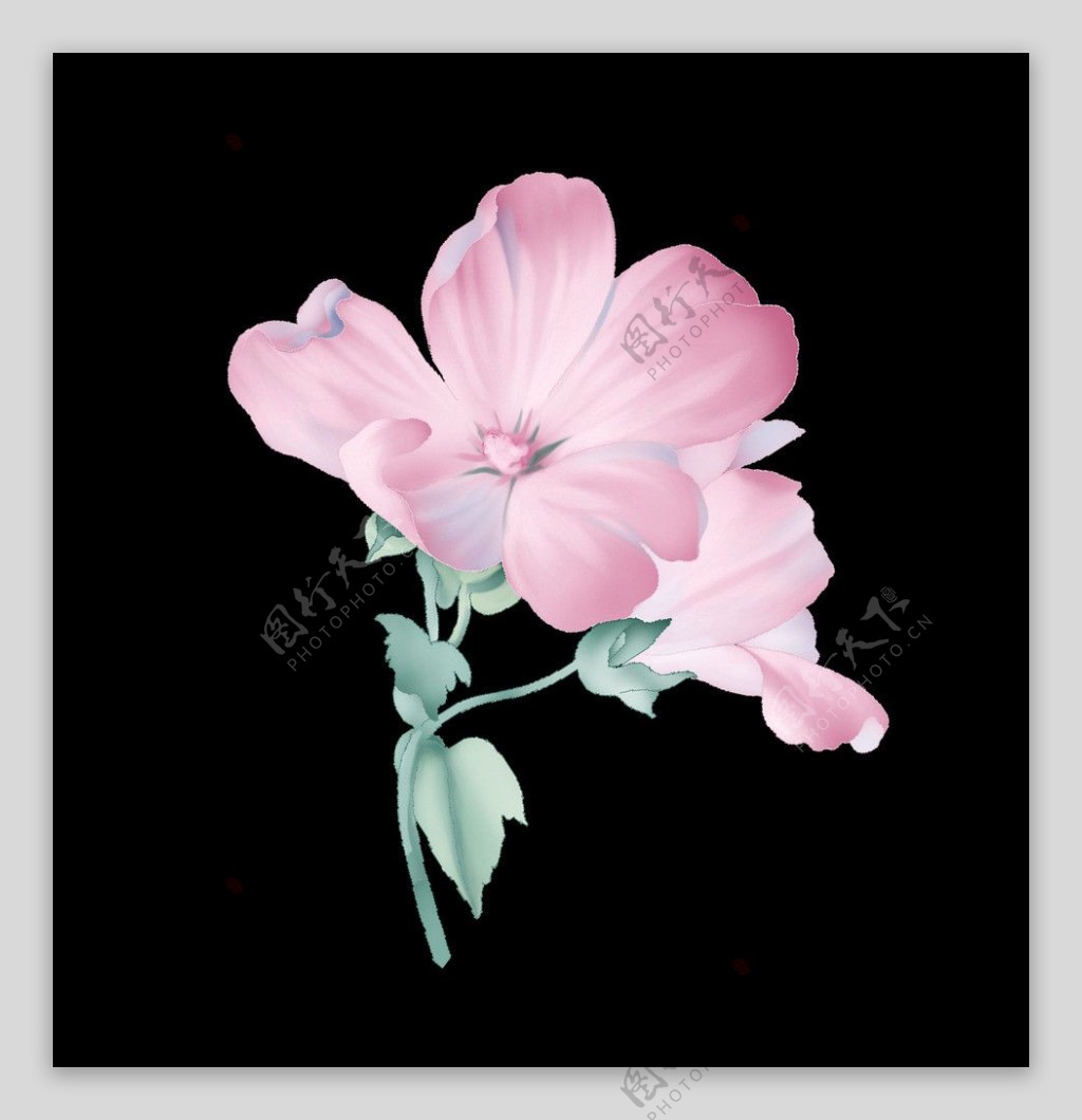 手绘花卉韩国素材图片