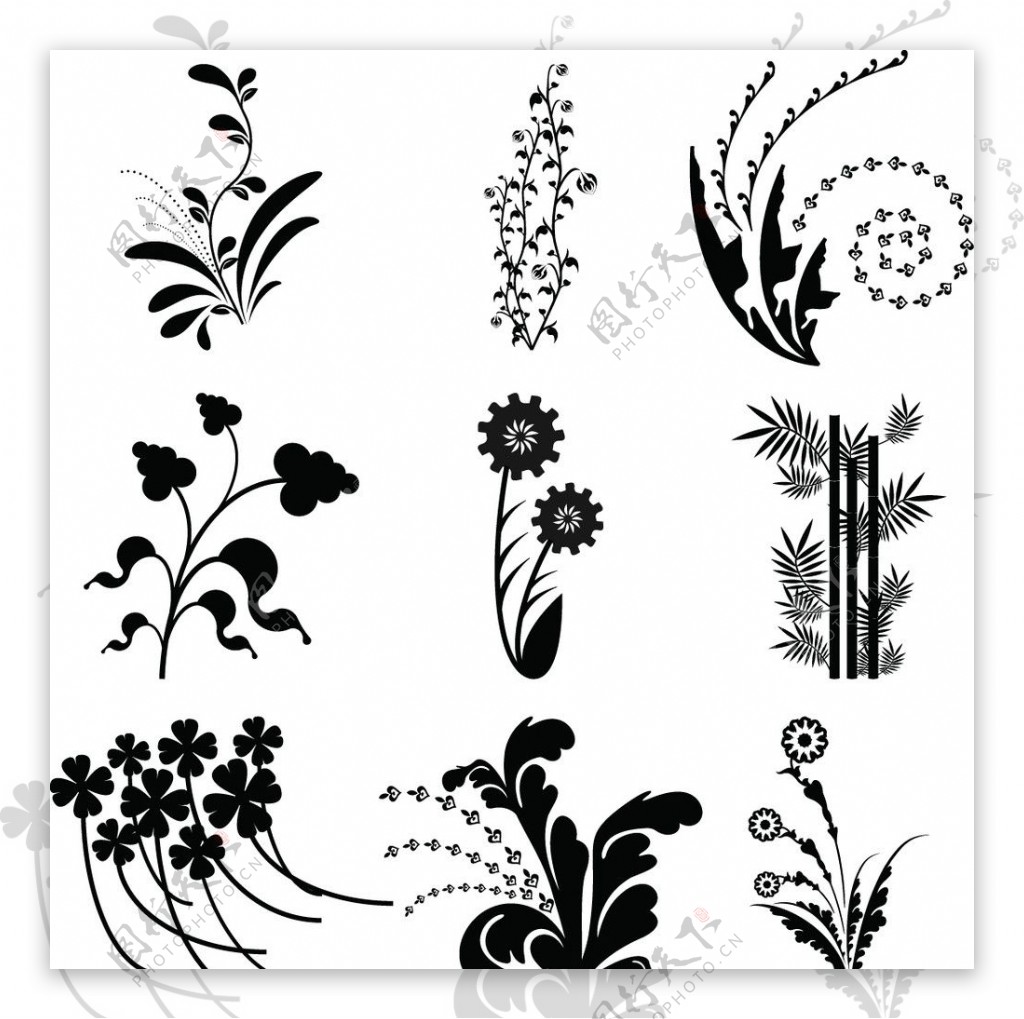 黑白植物花纹图片