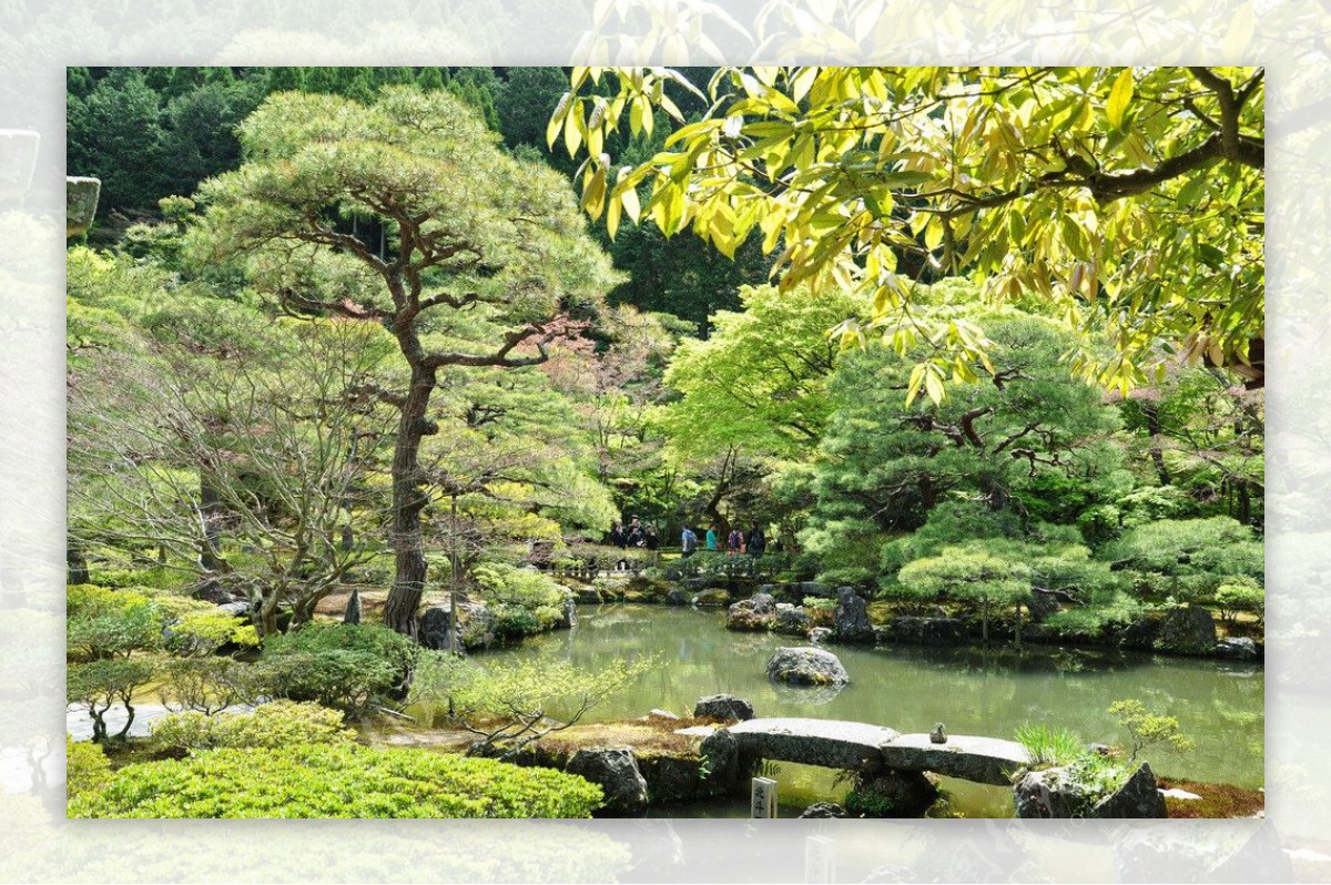 京都银阁寺图片