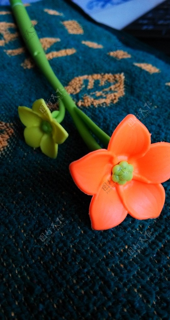 橙色小花图片