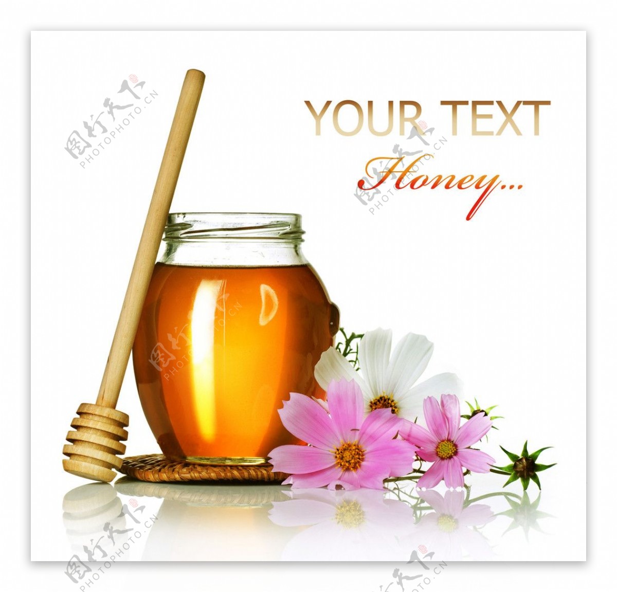 蜂蜜和菊花图片