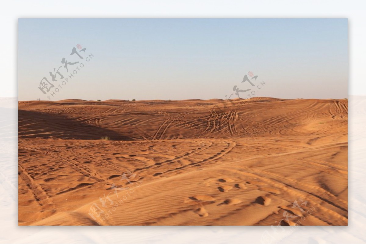沙漠足迹图片
