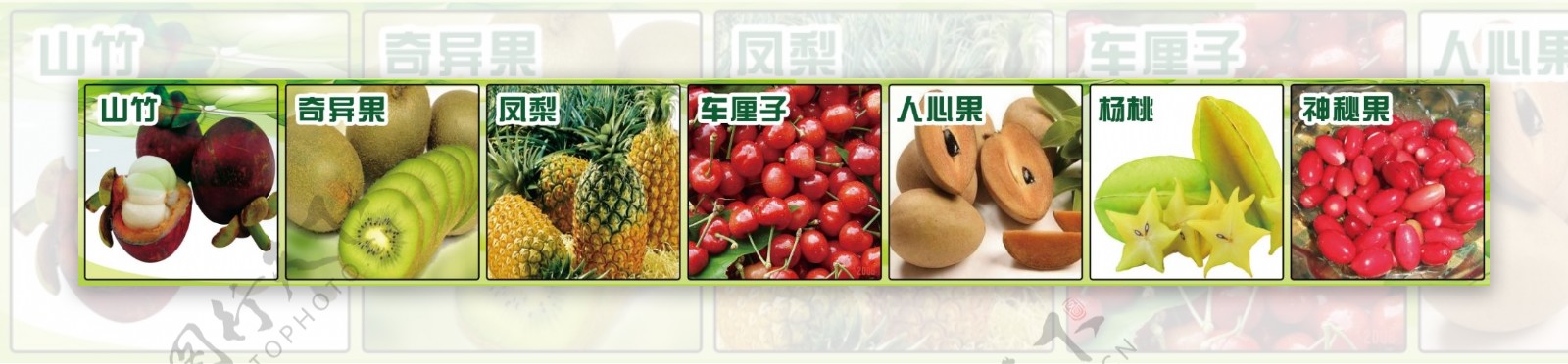 水果分类横幅图片