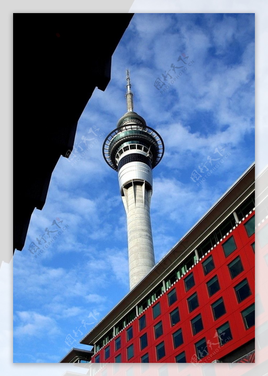 奥克兰天空塔Skytower一瞥图片