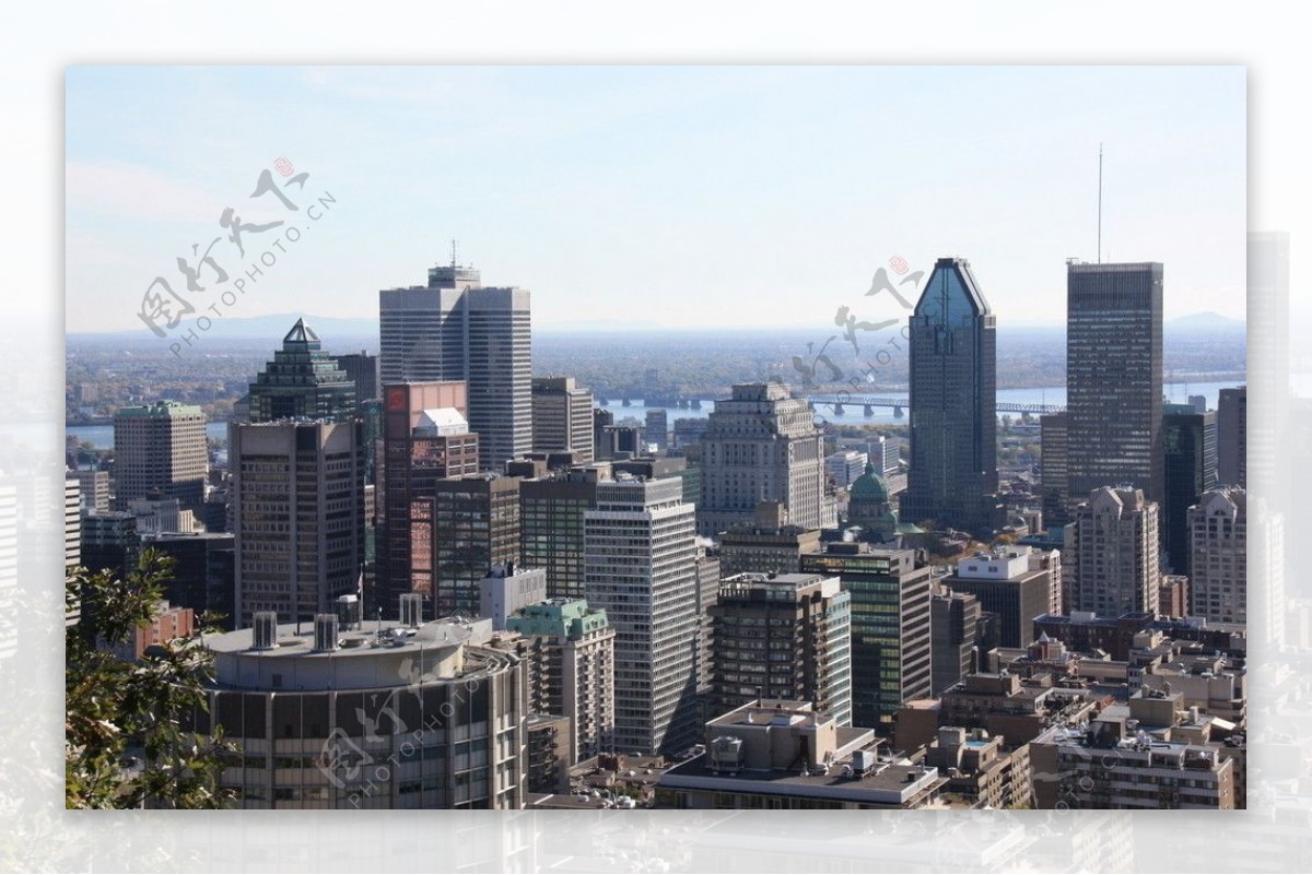 蒙特利尔最繁华的城区图片